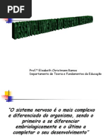 desenvolvimento do sistema nervoso 13.ppt
