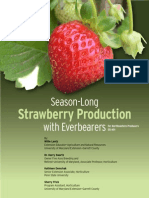 Everbearing Strawberry Guide