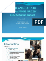 Use of Angulates by Yellow Stone Grizzly Bears