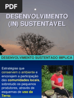 7 DESENVOLVIMENTO (IN) SUSTENTÁVEL
