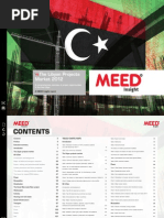 FINAL Libya Report