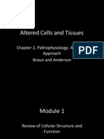 Altered Cells and Tissues Notes