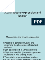 Expression and Function