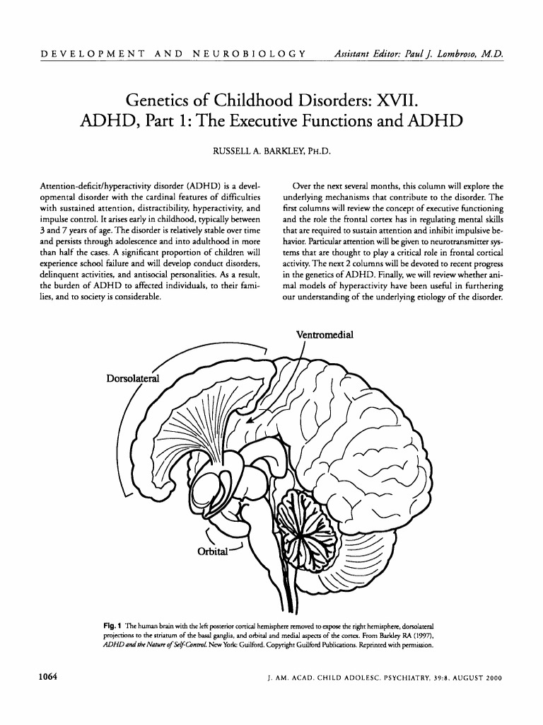 ADHD | PDF | Executive Functions | Attention Deficit Hyperactivity Disorder