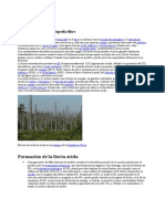 Texto Sobre Lluvia %e1cida