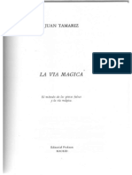 Juan Tamariz - La via Magica