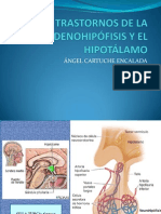 TRASTORNOS DE LA ADENOHIPÓFISIS Y EL HIPOTÁLAMO