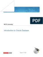 Introduction to Essbase