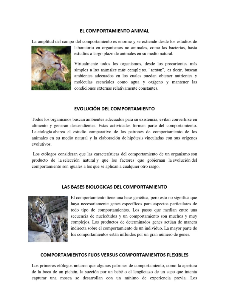 El Comportamiento Animal | PDF | Comportamiento | Evolución