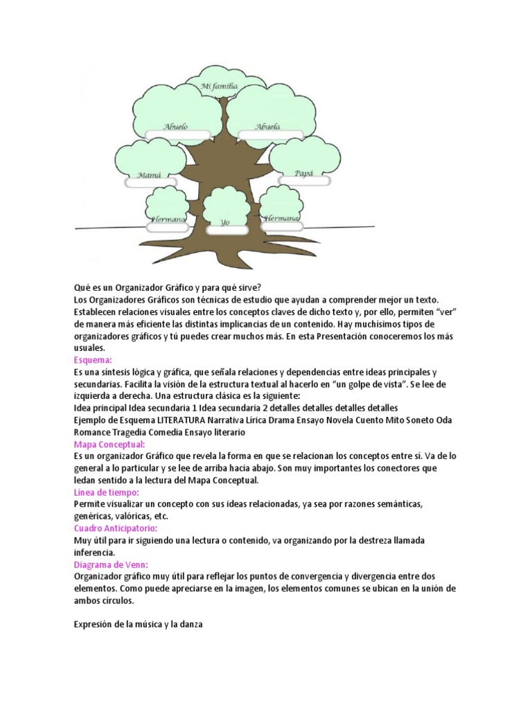Qué es un Organizador Gráfico y para qué sirve Wolfgang