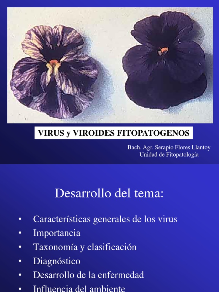 Virus y Viroides Fitopatógenos en Cultivos | PDF | Patologia de planta ...