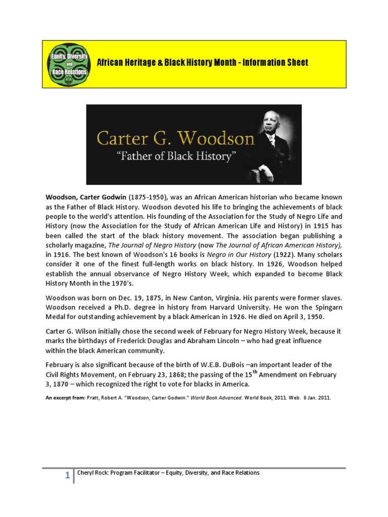 365 BLACK HISTORY FACTS PDF FREE DOWNLOAD visual data 6