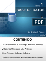 Presentacion - Base de Datos C. - Tema 1