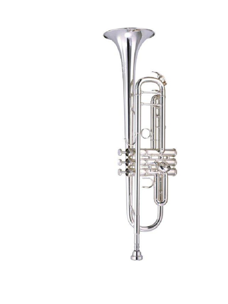 Marching Band | PDF