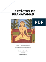 31058476 Exercicios de Pranayamas Portugues 131006080656 Phpapp02