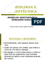 Aula Semiologia Sondagem Vesical e Cuidados Com o Corpo