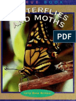 Butterflies and Moths