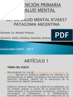 Patagonia Ley de Salud Mental