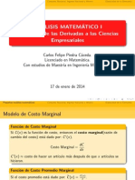 Aplicaciones de La Derivada A Las Ciencias Empresariales