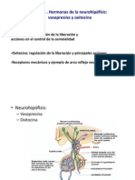 Tema 3 Fisiologi A I FM 2013