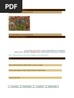 Download  1  Plantele Si Fazele Lunii - 7 Sumar 2011-2012 - 6 Butasirea by Juni Miron SN202352063 doc pdf