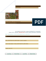Plantele Si Fazele Lunii - 7. Sumar 2011-2012 - 6. Butasirea