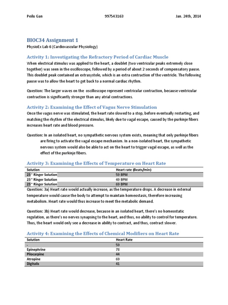 Heart anatomy and physiology pdf image