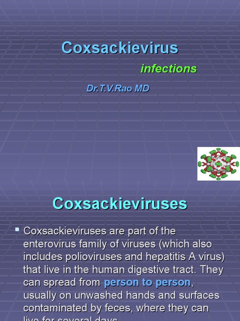 Coxsackievirus PDF Microbiology Epidemiology