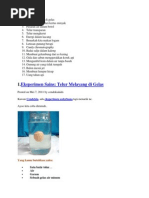 Download Ide Praktikumdocx by Pia Hanipah SN202419999 doc pdf