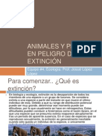 Animales y Plantas en Peligro de Extinción