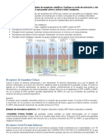 ATP2 Receptores Cataliticos