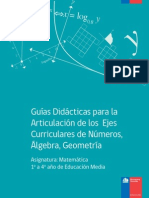 Ejes_numero_algebra_geometria.pdf