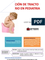 Ivu PDF