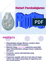 Protista