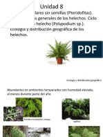 Unidad 8 Pteridofitas