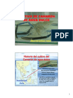 08 - Cultivo de Camarón de Agua Dulce PDF