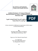 Antibiotic Resistance of Common Pathogenic Bacterial Isolates in Yemen