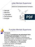 funcoes_mentais_superiores (1)