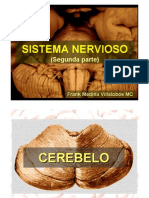 Sistema Nervioso II