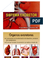 Sistema Excretor