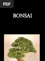THE BEGINNER'S GUIDE TO BONSAI: The Complete Guide To Planting Bonsai