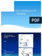 CURS 2 BFK Infectii Ale Laringelui - Traheei +bronsiolita