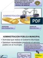 Derecho Administrativo (Administracion Publica Municipal)