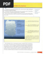 Freud e a Sua Teoria