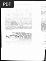 Léxico-PB-Ilari&Basso