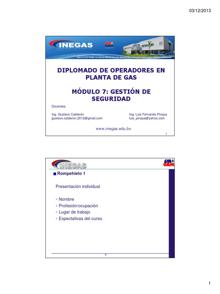 Diplomado en Gestión de Seguridad Laboral | PDF | Organización ...