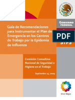 Guía de Recomendaciones para Instrumentar El Plan de Emergencia en Los Centros de Trabajo Por La Influenza