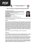 Impactos de Abatedouros e Medidas Mitigadoras