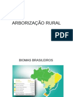 Arborização Rural