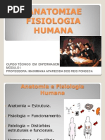 Anatomia - Aula 1 Pronta